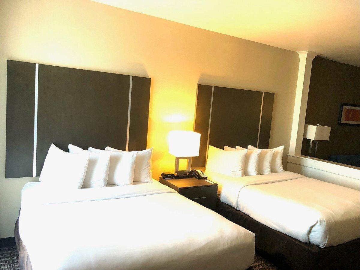 Comfort Near Sam Houston Race Park 3*